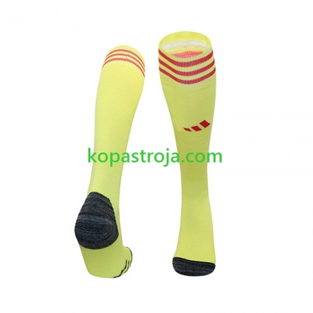 Arsenal Målvakt Hemma Strumpor 2024/25